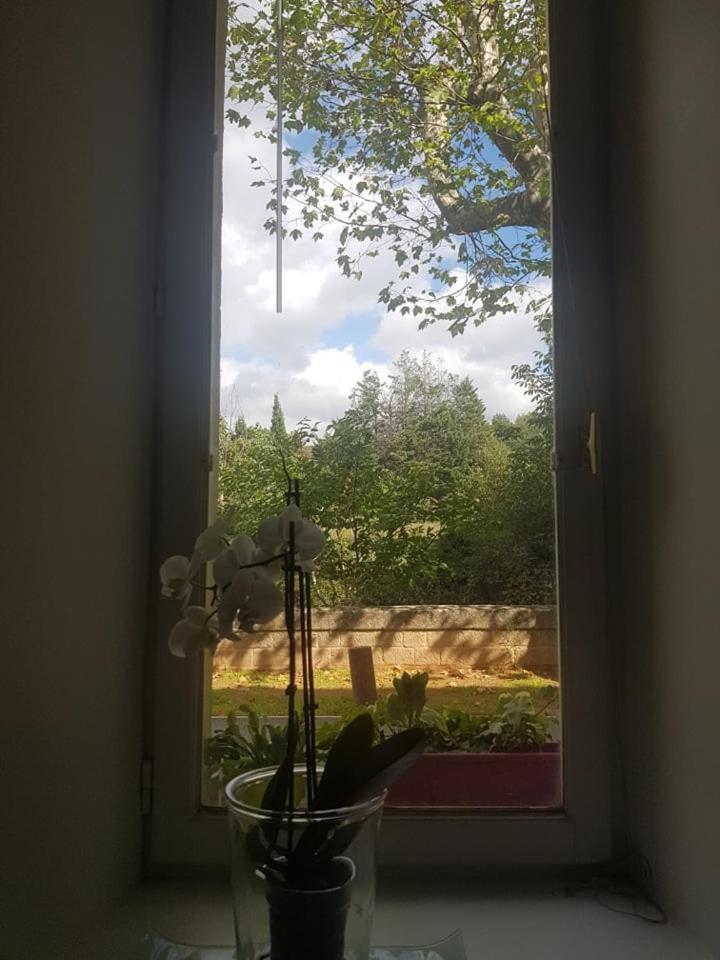 Petit Loft Face Riviere Apartment Collobrieres Bagian luar foto